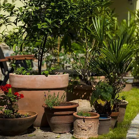 בית אירוח Gaestezimmer Bog2 Görlitz